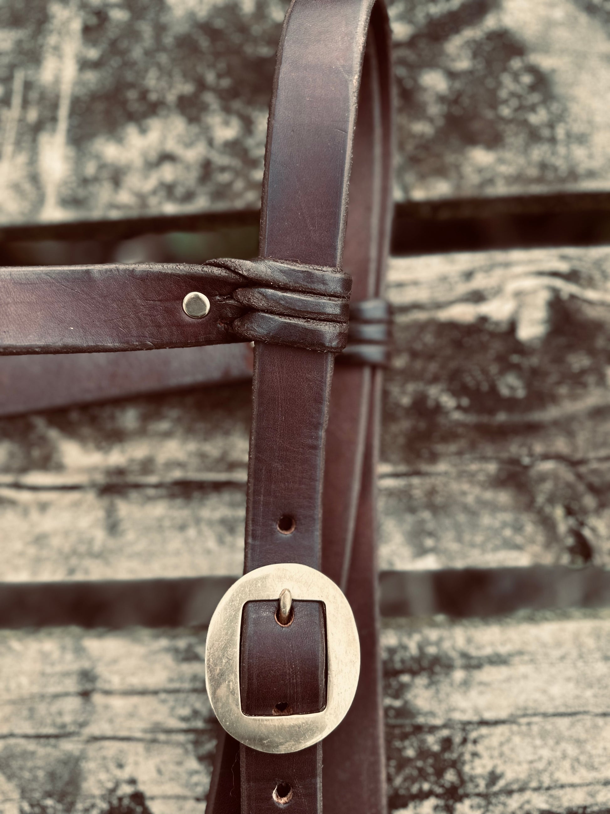 Trial Headstall