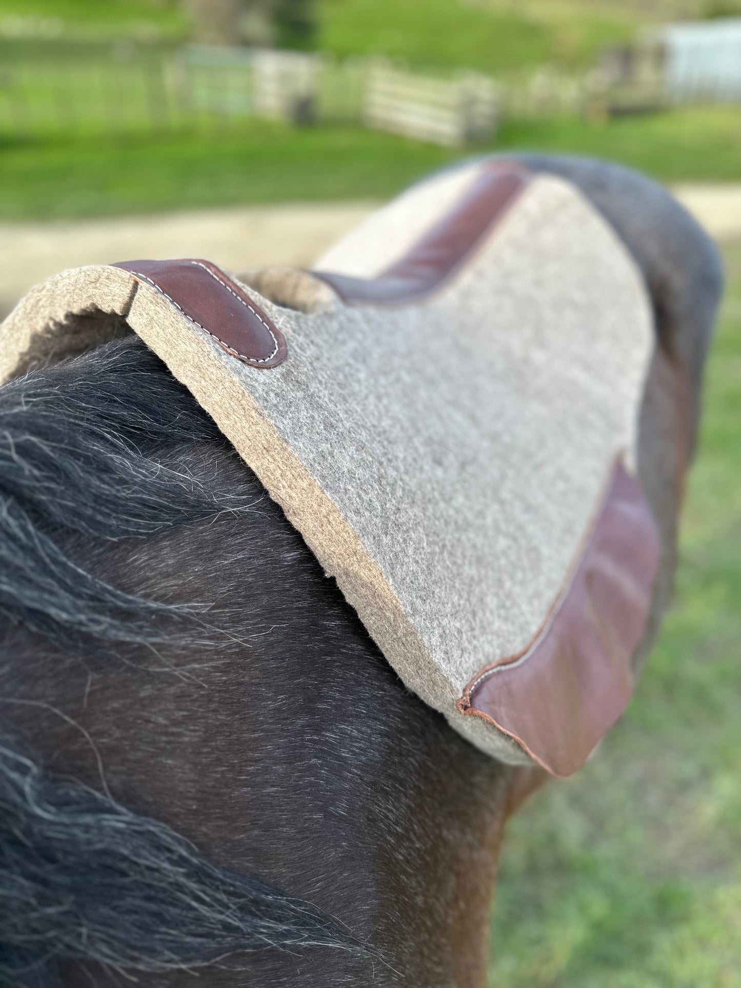 Halfbreed Saddle Pad