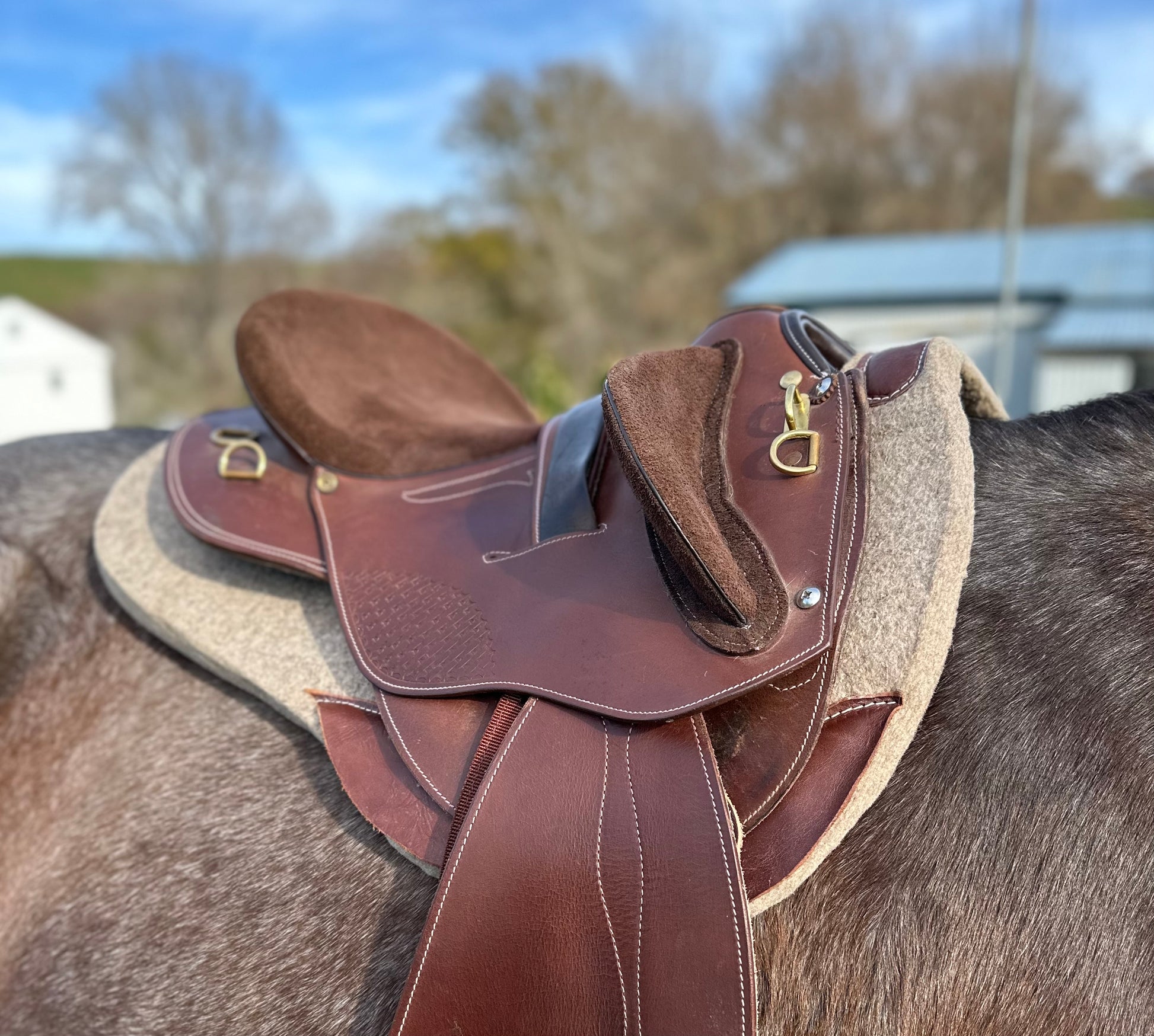 Halfbreed Saddle Pad