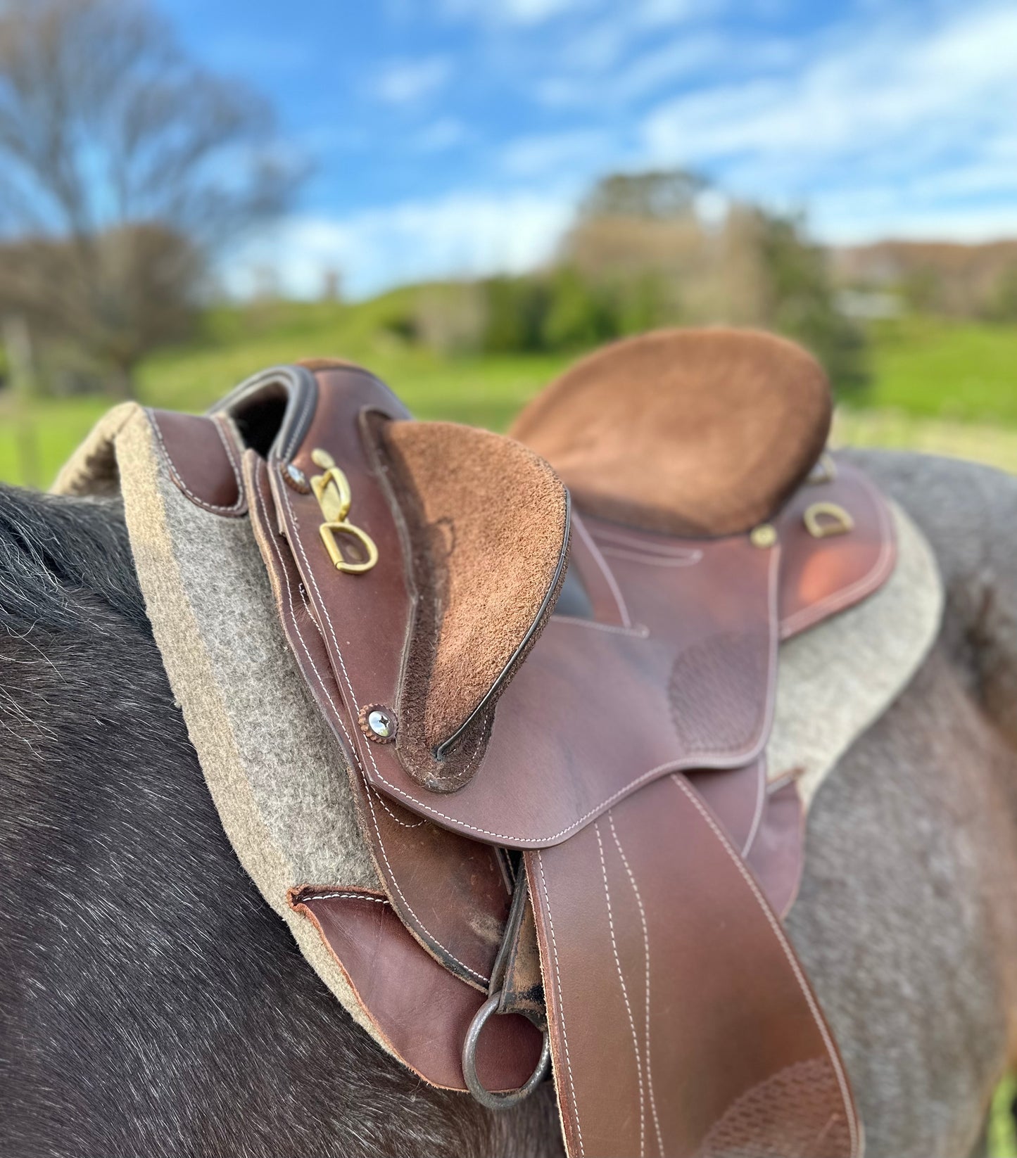 Halfbreed Saddle Pad