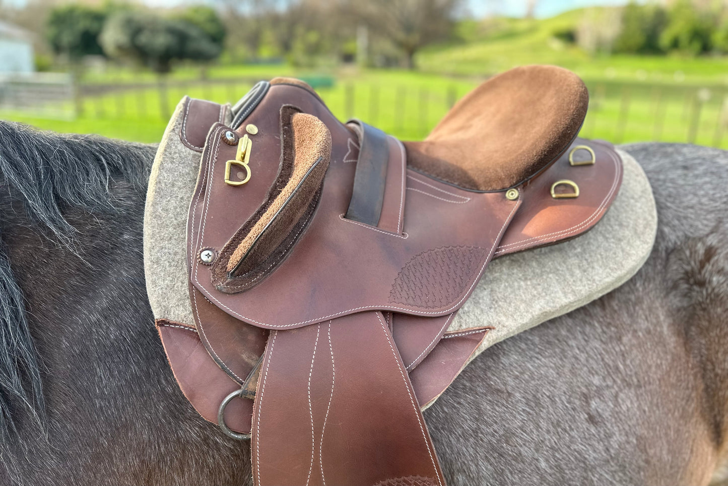 Halfbreed Saddle Pad