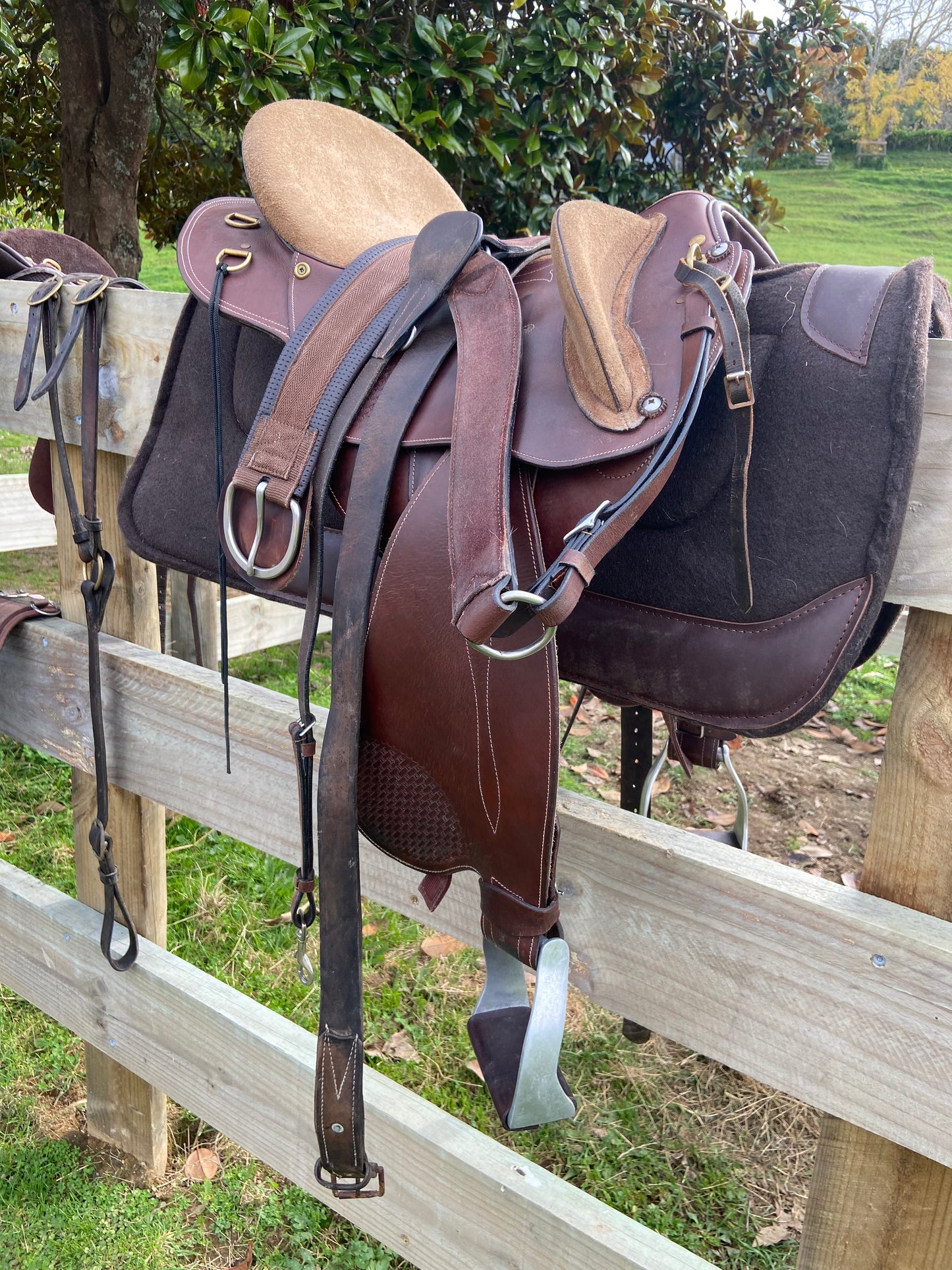 Halfbreed saddle