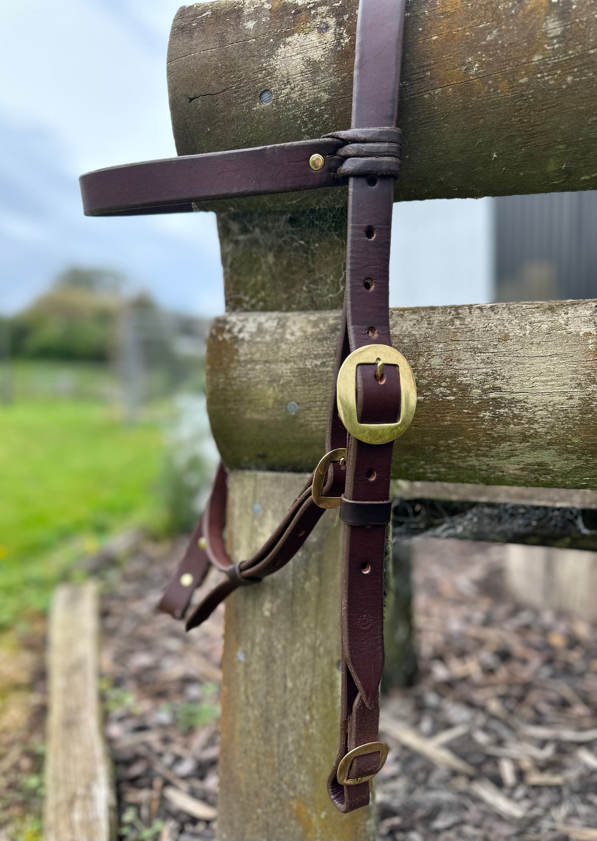 Stockman's Headstall 1