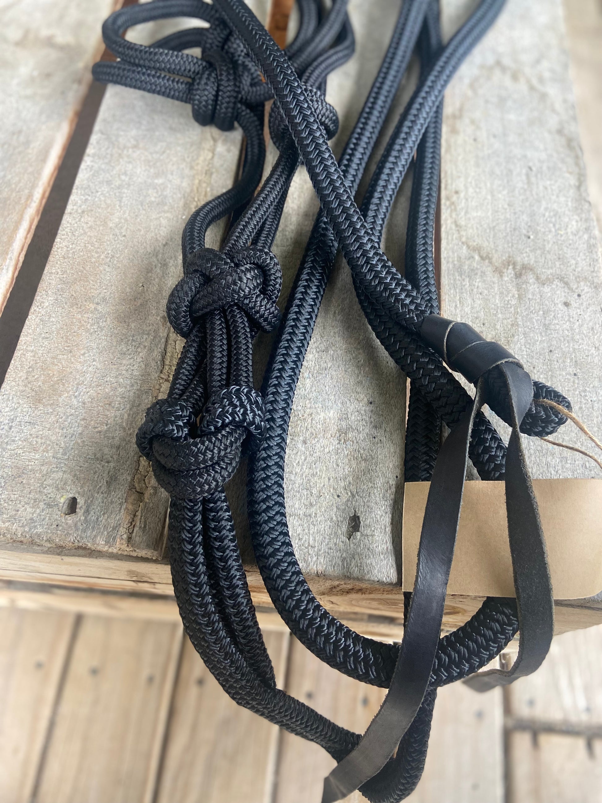 Halter and Lead