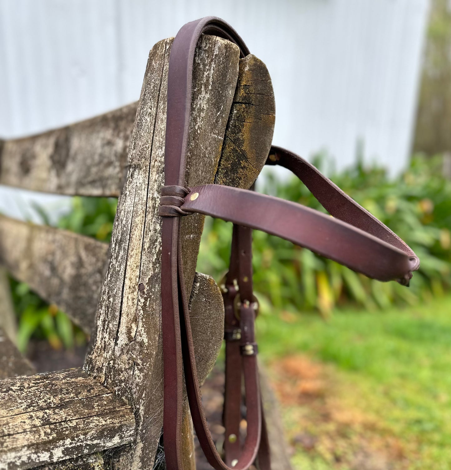 Trail Headstall