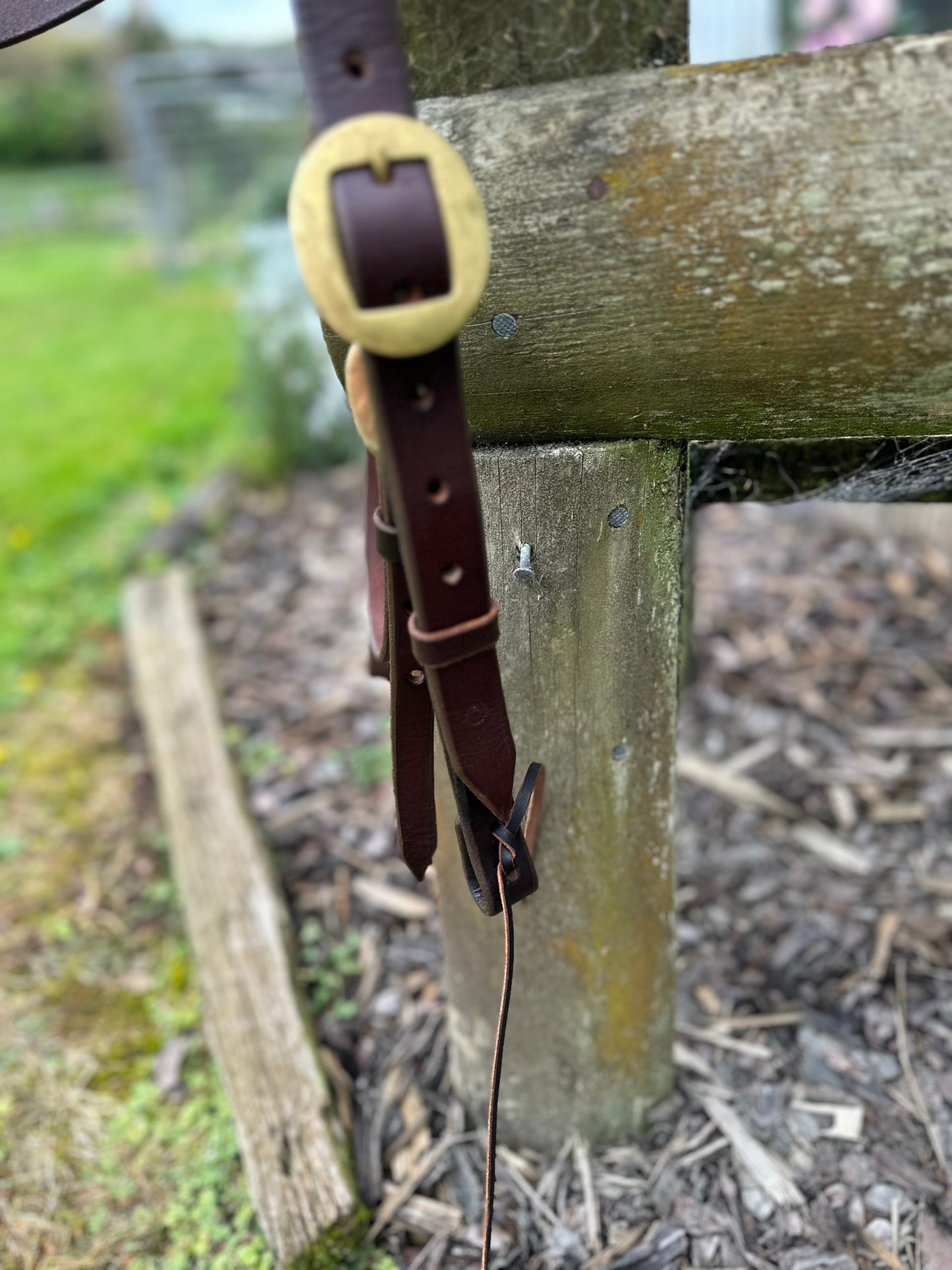 Trail Headstall