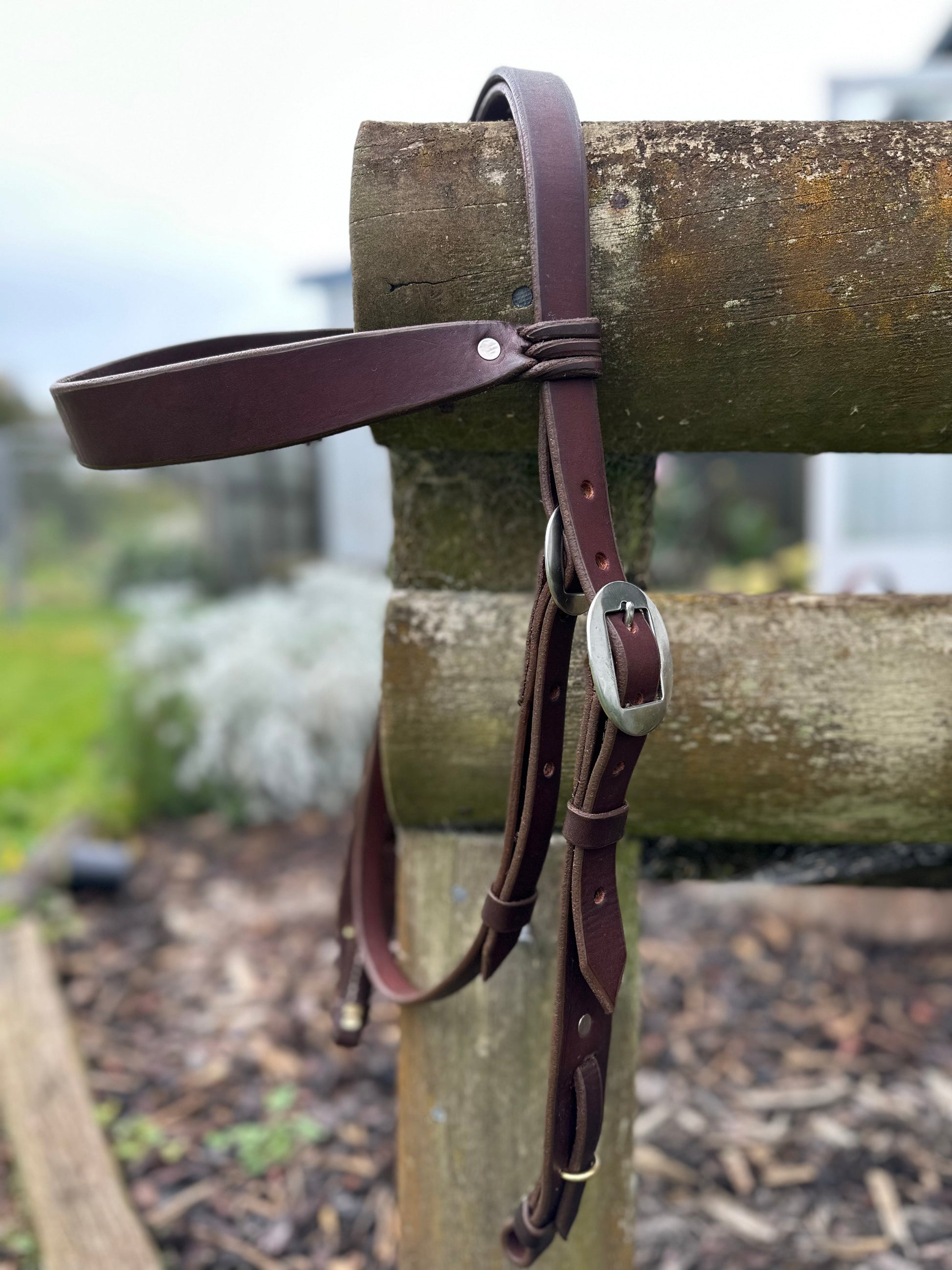 Stockman's Headstall (2)