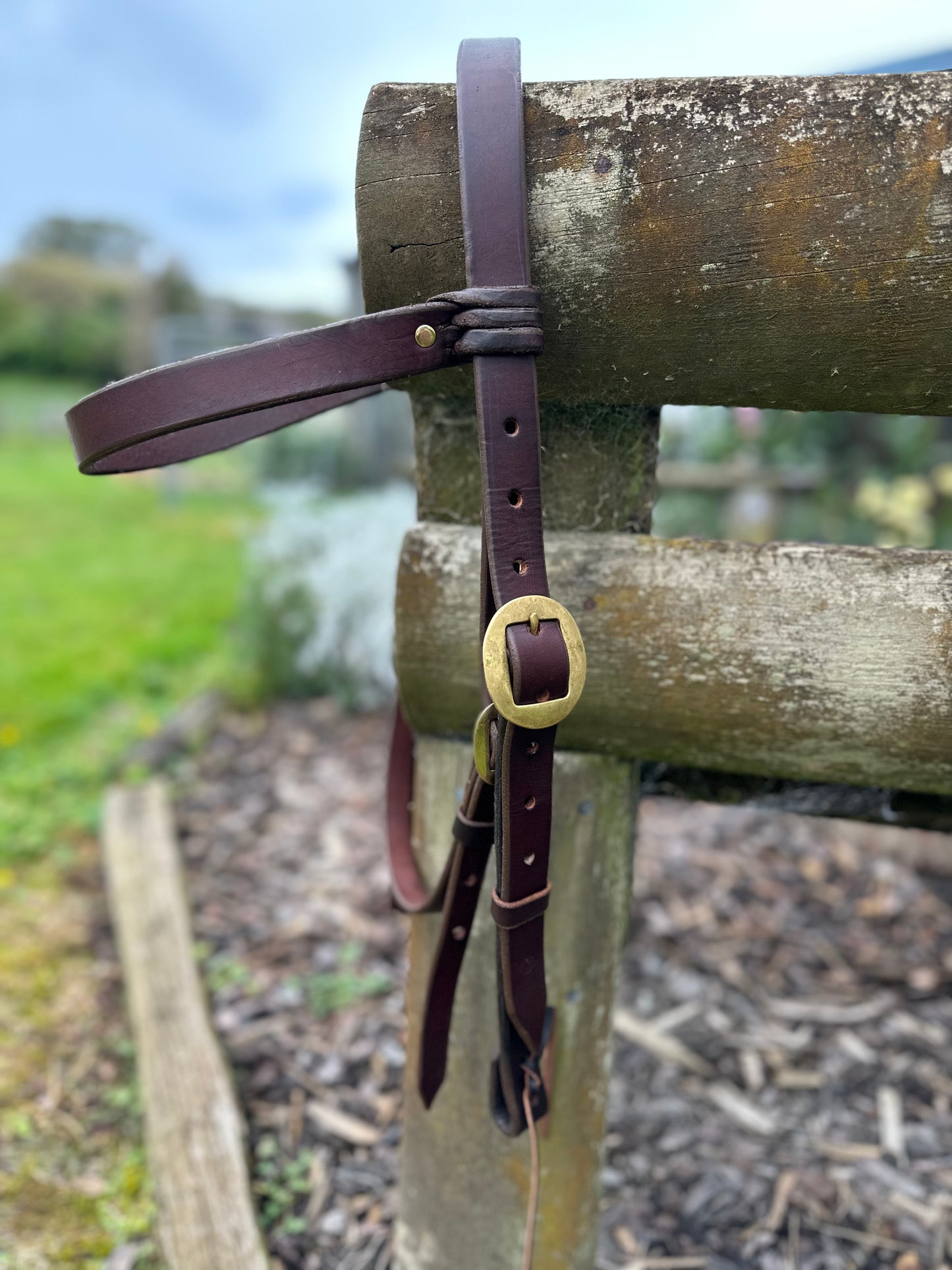 Trail Headstall