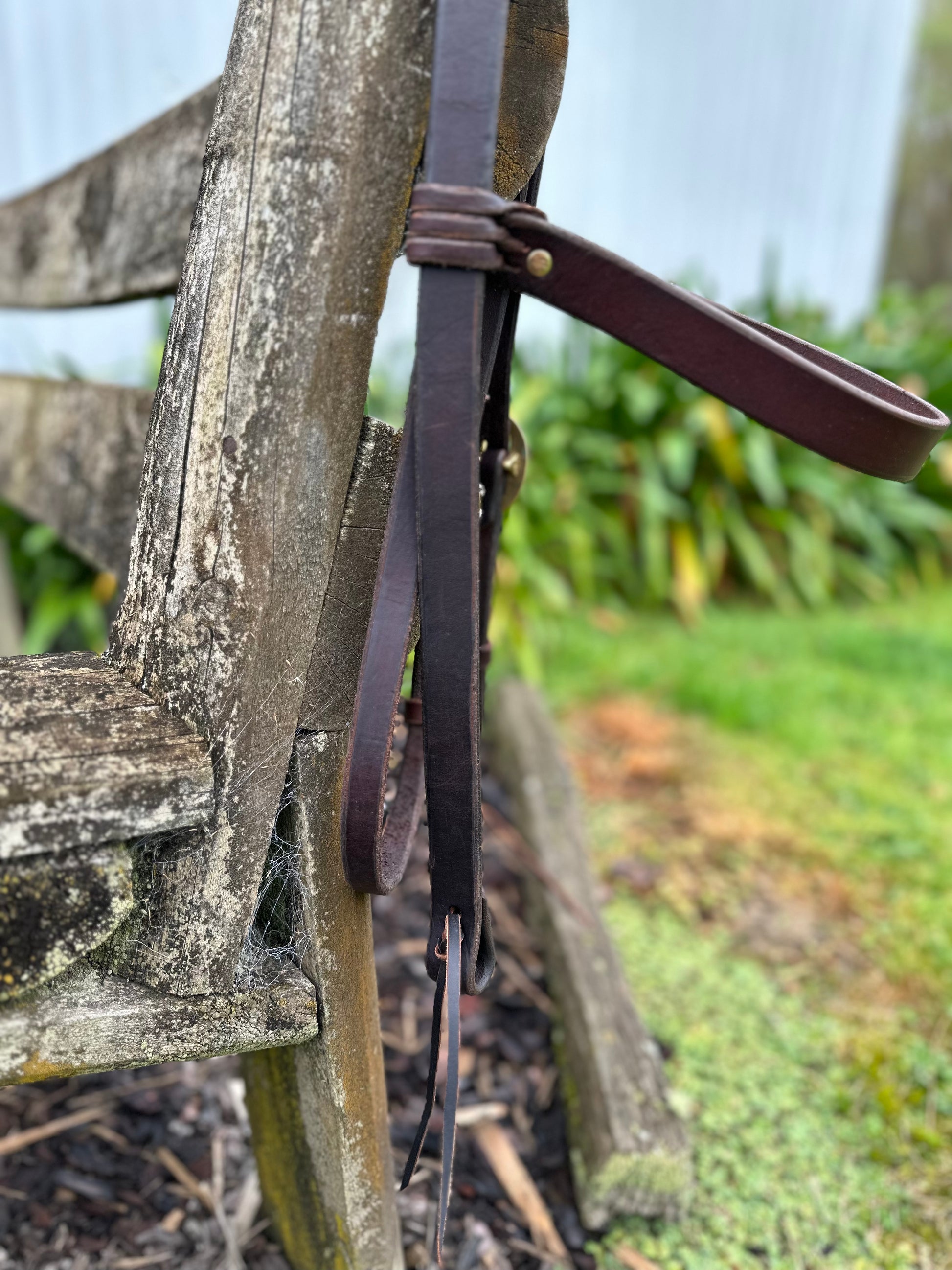 Trail Headstall